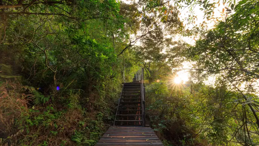 NGONG PING 360 RESCUE TRAIL