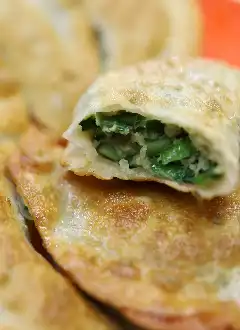 DELICIOUS DUMPLINGS