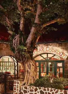 THE PEAK LOOKOUT