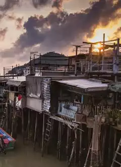 TOP THINGS TO DO IN TAI O