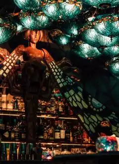 INSTAGRAMMABLE DRAGONFLY BAR