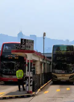 BUS AND MINIBUS