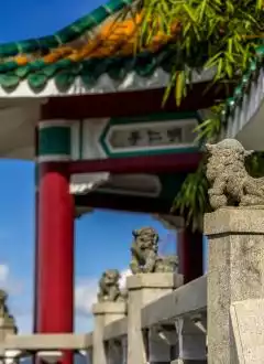 THE LIONS PAVILION