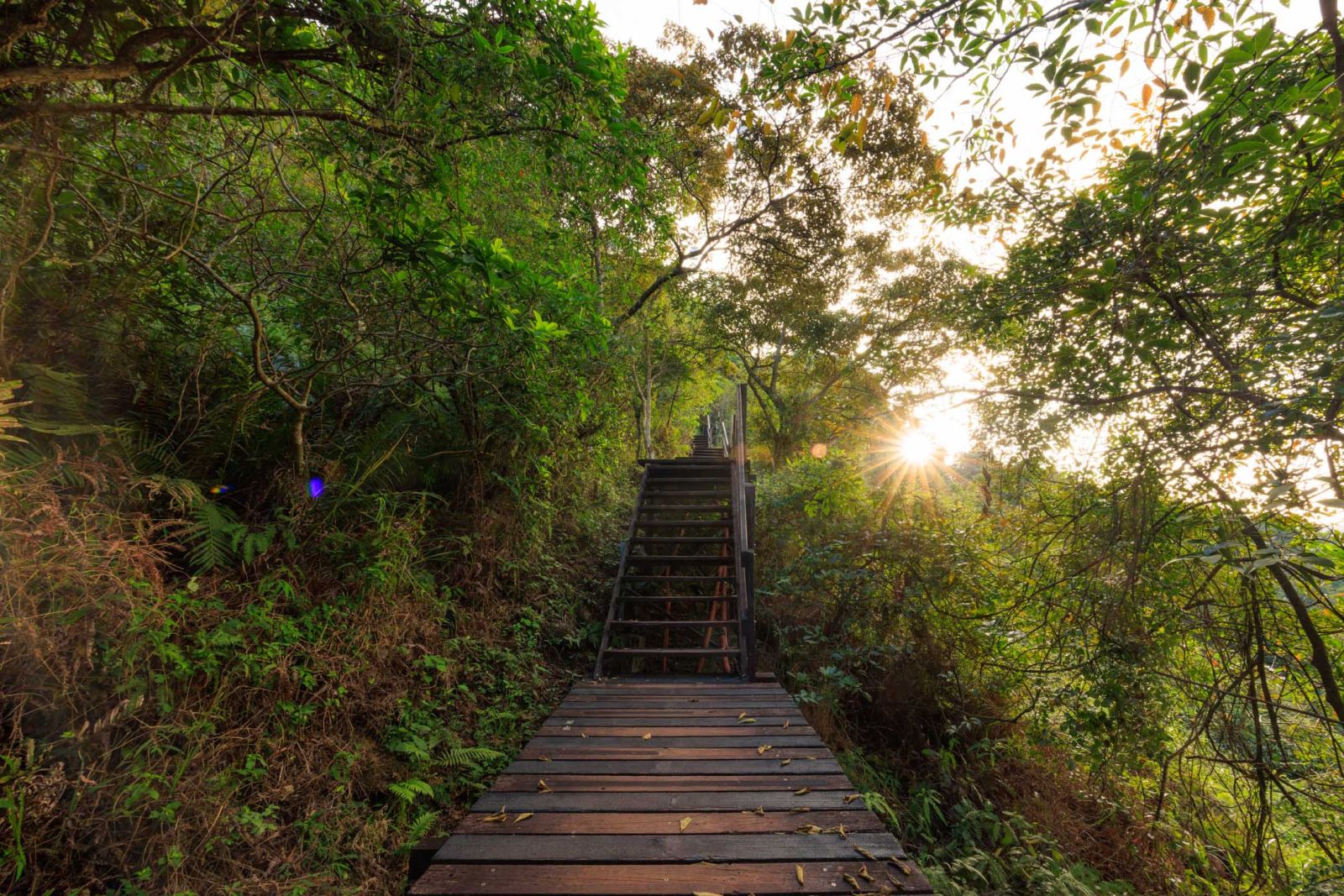Fancy a nice hike to Ngong Ping?